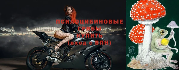 ALPHA PVP Медвежьегорск