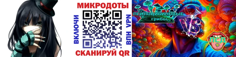 Галлюциногенные грибы MAGIC MUSHROOMS купить Сальск